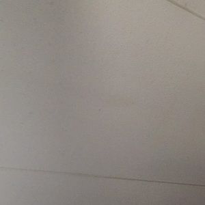 Meet your Posher, Keanu